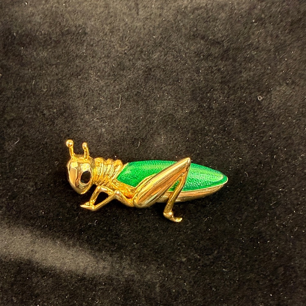 Vintage Cabouchon Cricket Brooch